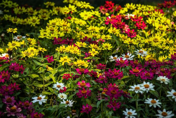 57-floraart-7