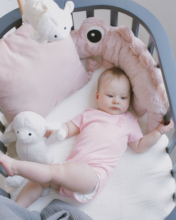 bebe-set-6