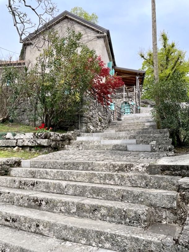 kuca veprinac