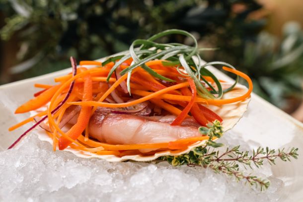 recept-ceviche-gof-1