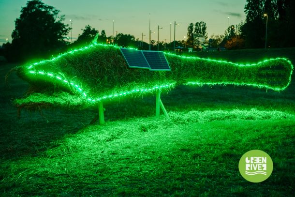 green-river-festival-sava-3
