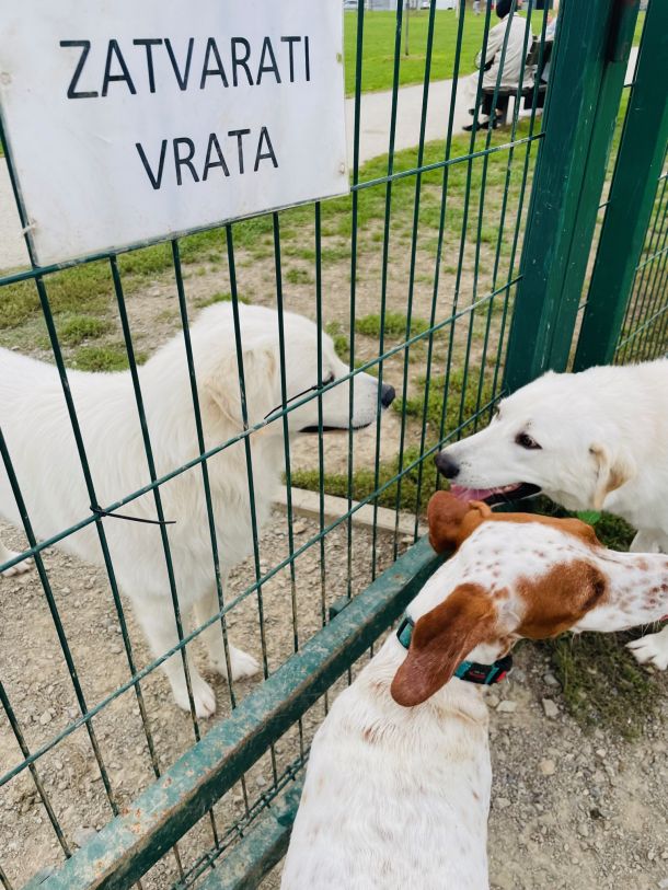 pseci park tresnjevka zagreb