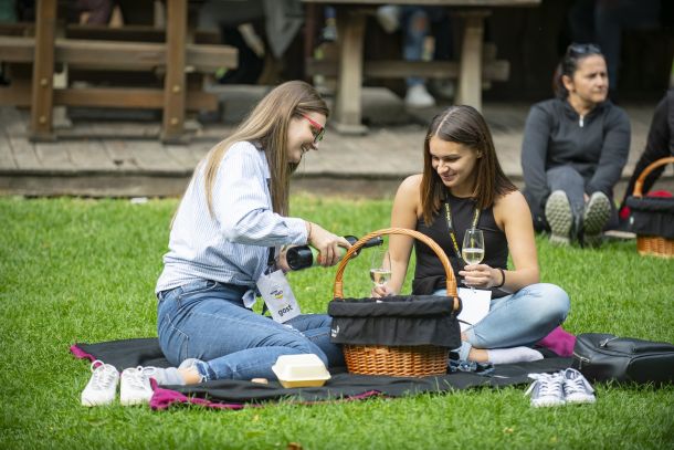 slavonija-podravina-wine-not-4