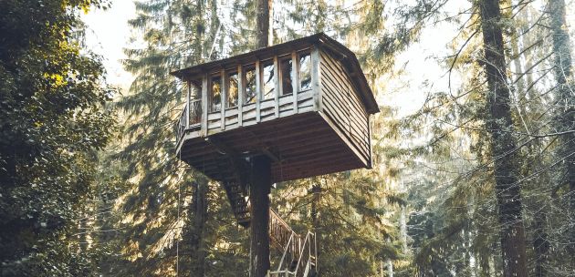 Kućice na drvetu u kojima se možete izvrsno povezati s prirodom