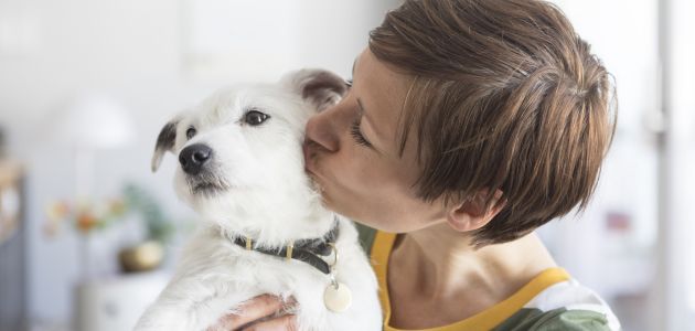 5 savjeta za putovanje s kućnim ljubimcima