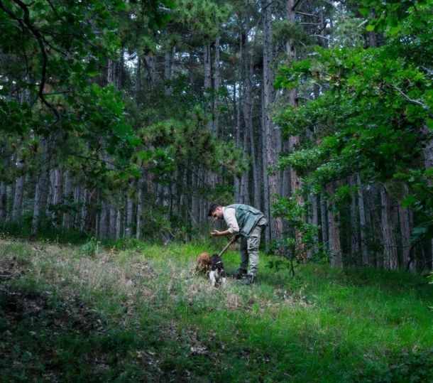 lov na tartufe italija