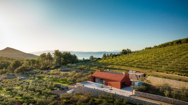 maslinova-ulja-vino-2