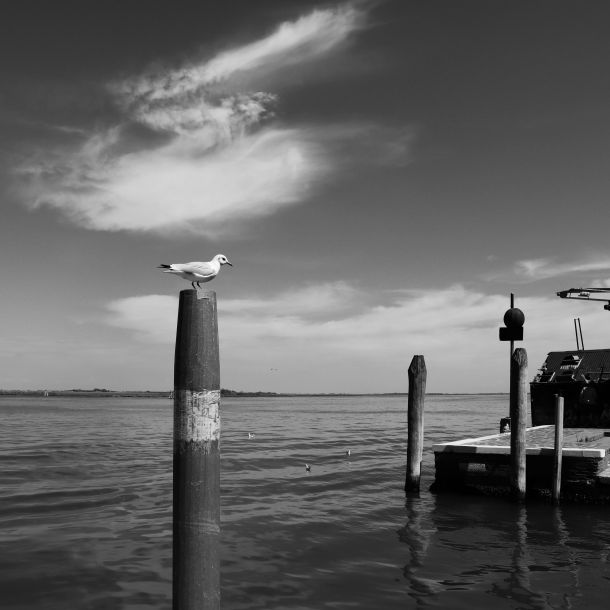 01-acqua-alta