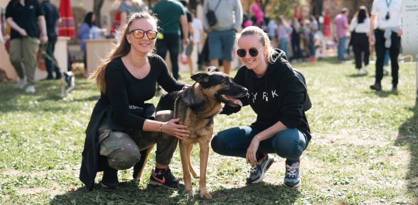 Prijateljstvo za cijeli život: kako udomiti pravog psa za sebe