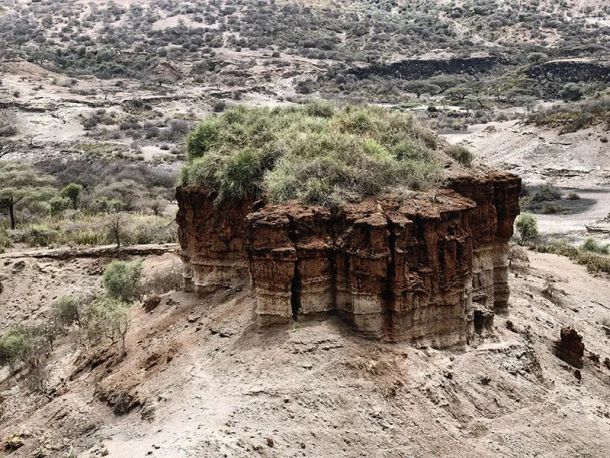 fosili hominida klanac Olduvai tanzanija