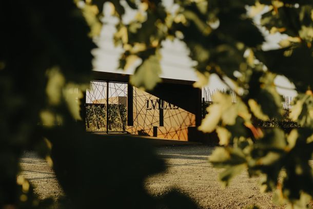 vinarija vina toskana Cantina Lunae facebook foto