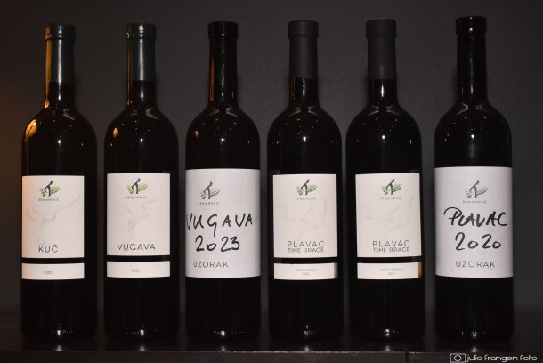 vina-senjanovic-frida-7