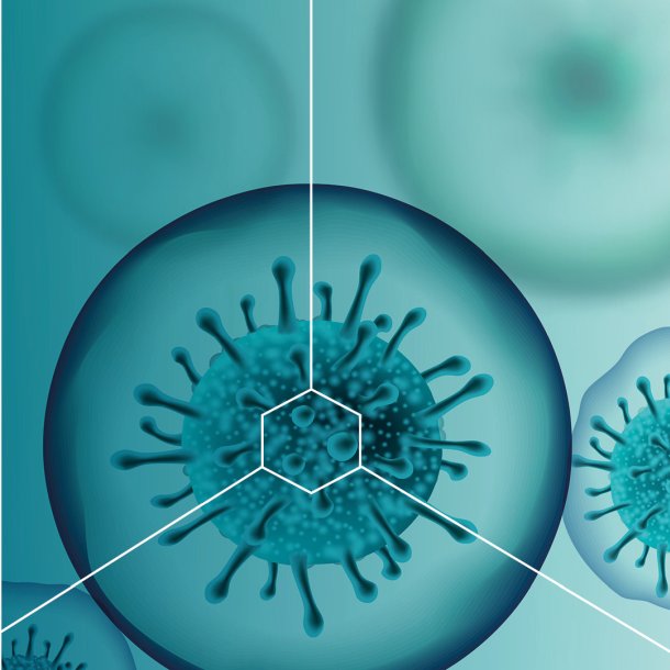 spermidine-life-3