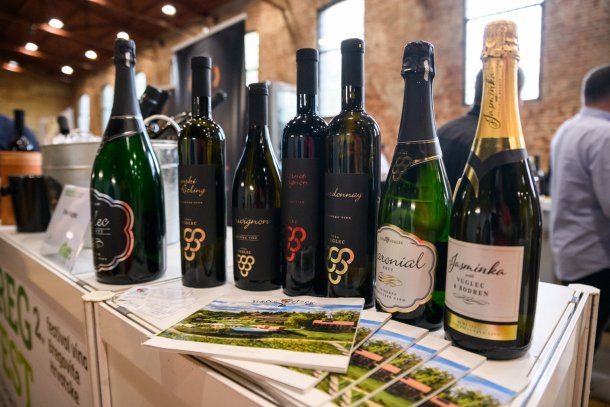 bregovita-hrvatska-vinarije-3