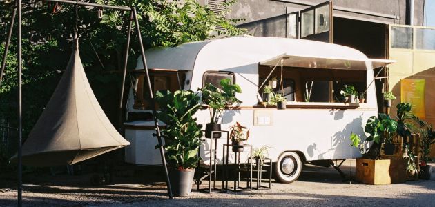 Kad biljke odu spavati, gledamo filmove na staroj Branimirovoj tržnici