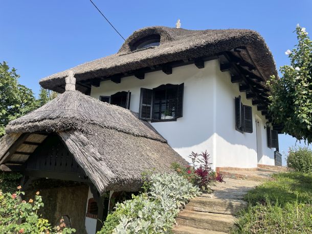 lendava slovenija moderna kuca sa slamnatim krovom