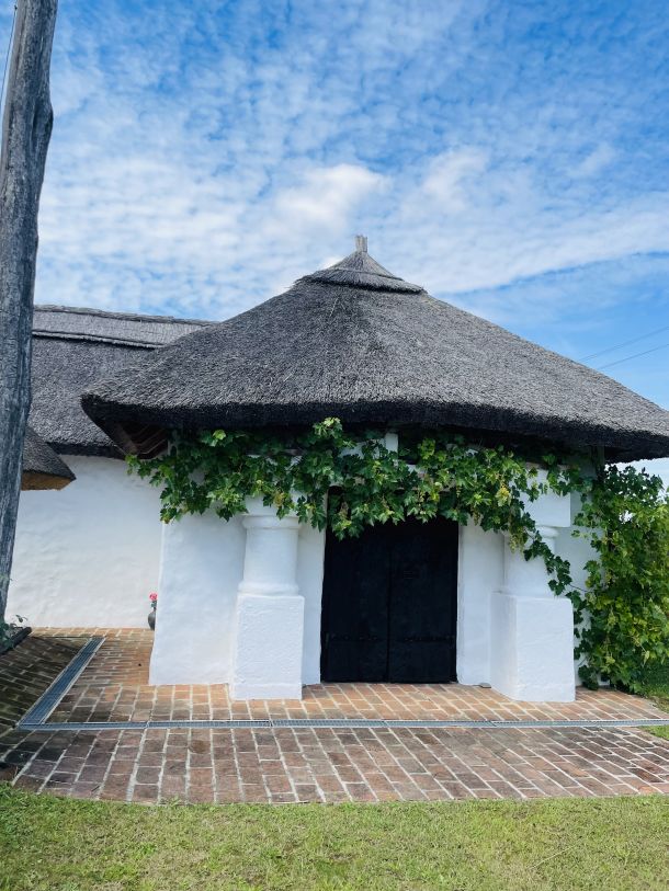 moderna kuca sa krovom od slame