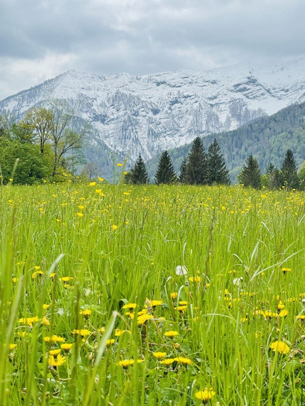park keiser ville bad ischl