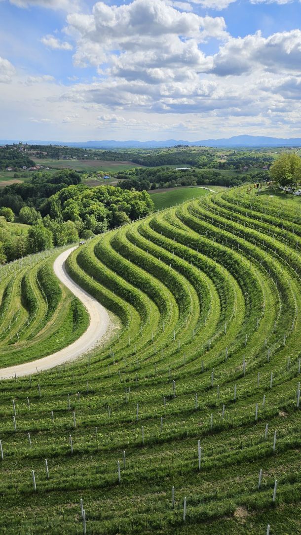 Mađerkin breg (002)