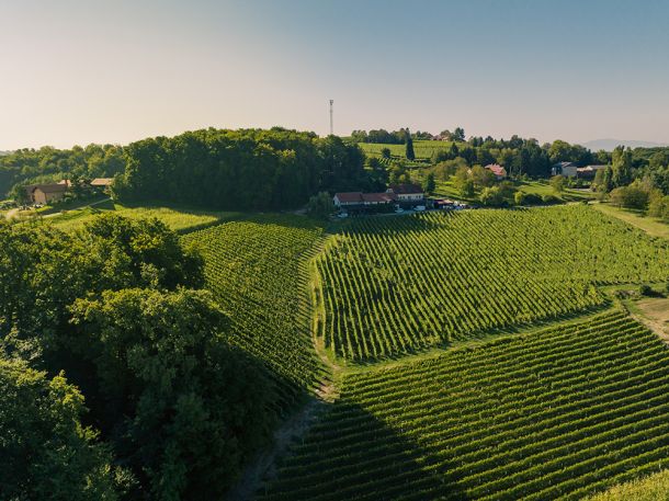 dozivi-zeleno-Medimurje-6