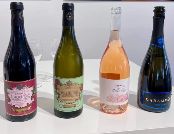 veszprem-predstavljanje-3