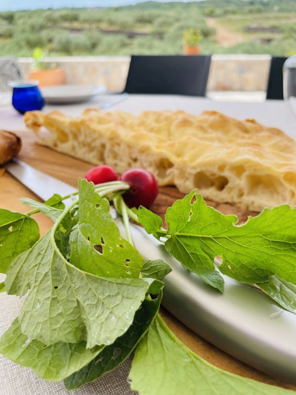 degustacija kusaonica maslinovog ulja eva marija curin