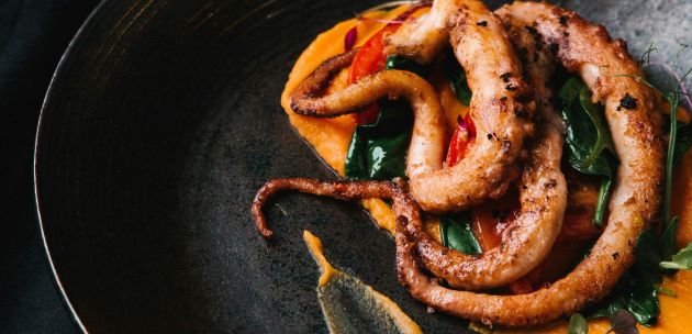 Uživajte uz ljetno predjelo i osvježavajući vinski užitak – rikula i lešo  hobotnica