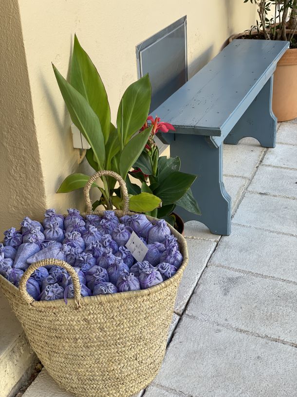 hvarska lavanda jelsa