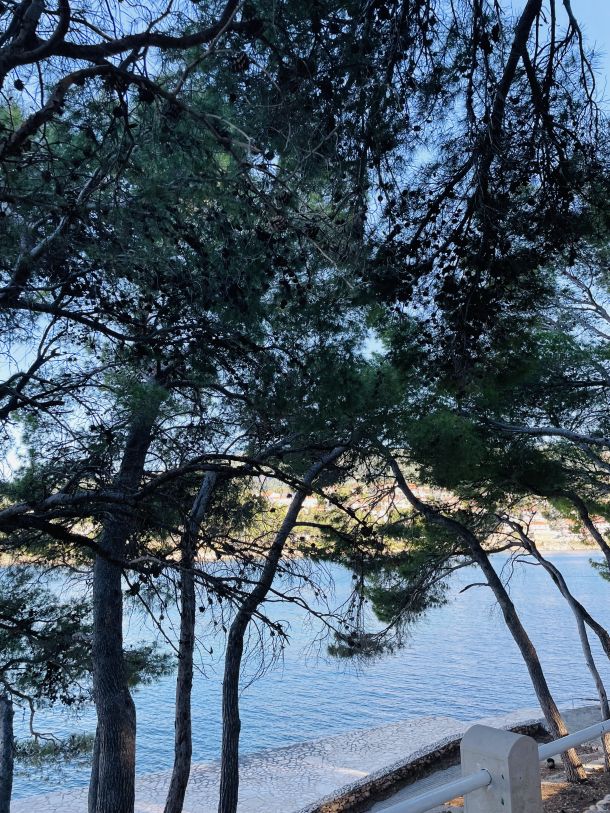 jelsa otok hvar plaza