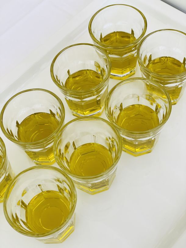 vrste maslina  maslinovog ulja