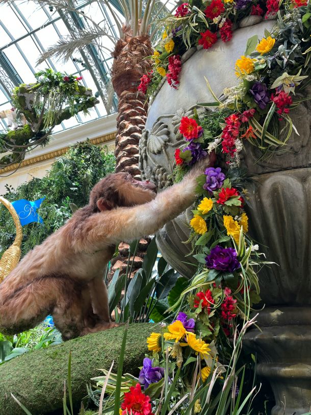 Bellagio Conservatory & Botanical Garden, Las Vegas, United States