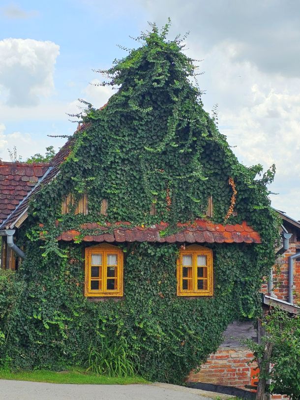 seosko-imanje-Sumecani-foto-ZADIN-2