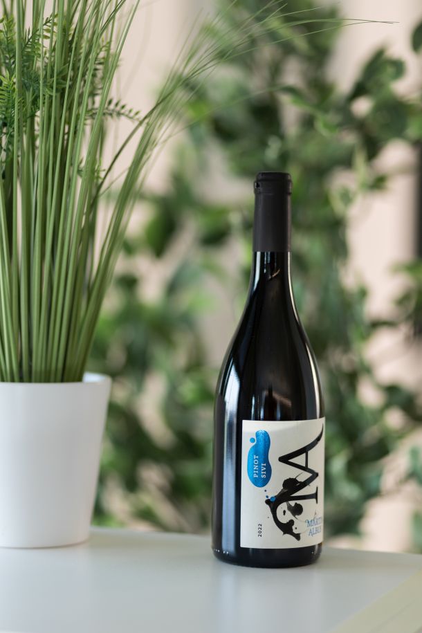 vino sorta sivi pinot martin albus