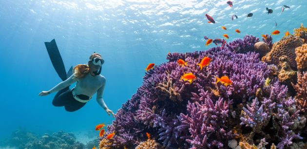 Otkrijte tajne Ama ronilaca – Japanke u potrazi za biserima