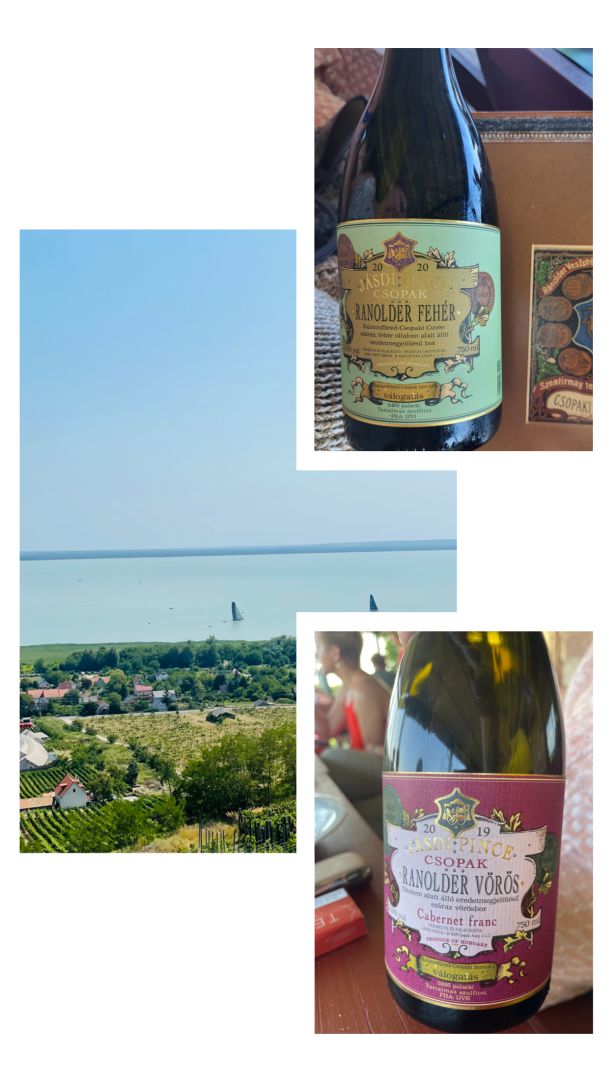 Jasdi Wine Terrace Csopak vina balaton madarska